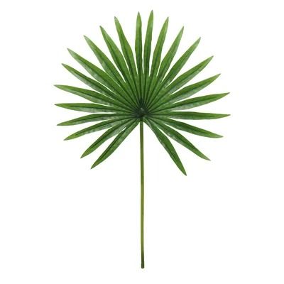 China Palm Leaves