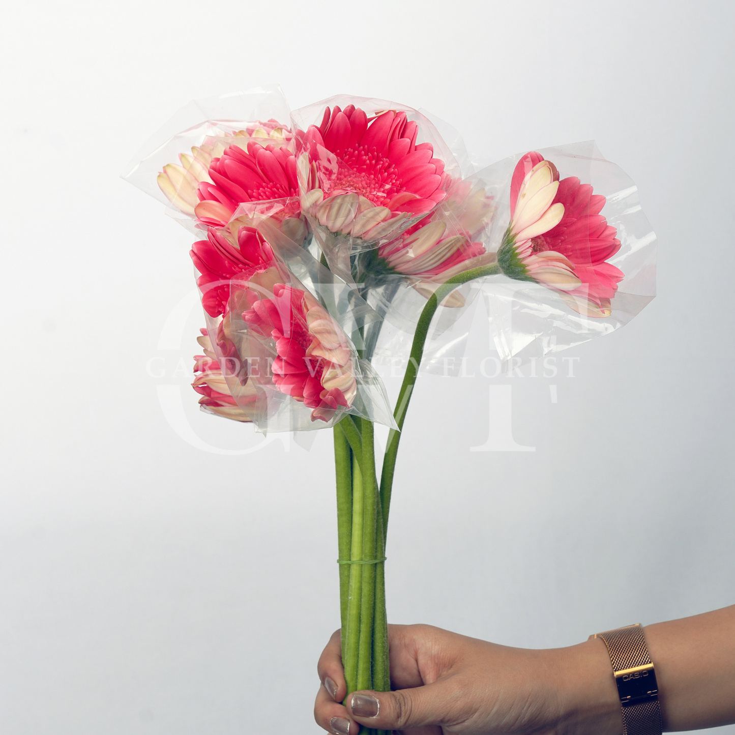 Fresh Gerbera Flowers – Vibrant & Elegant Blooms
