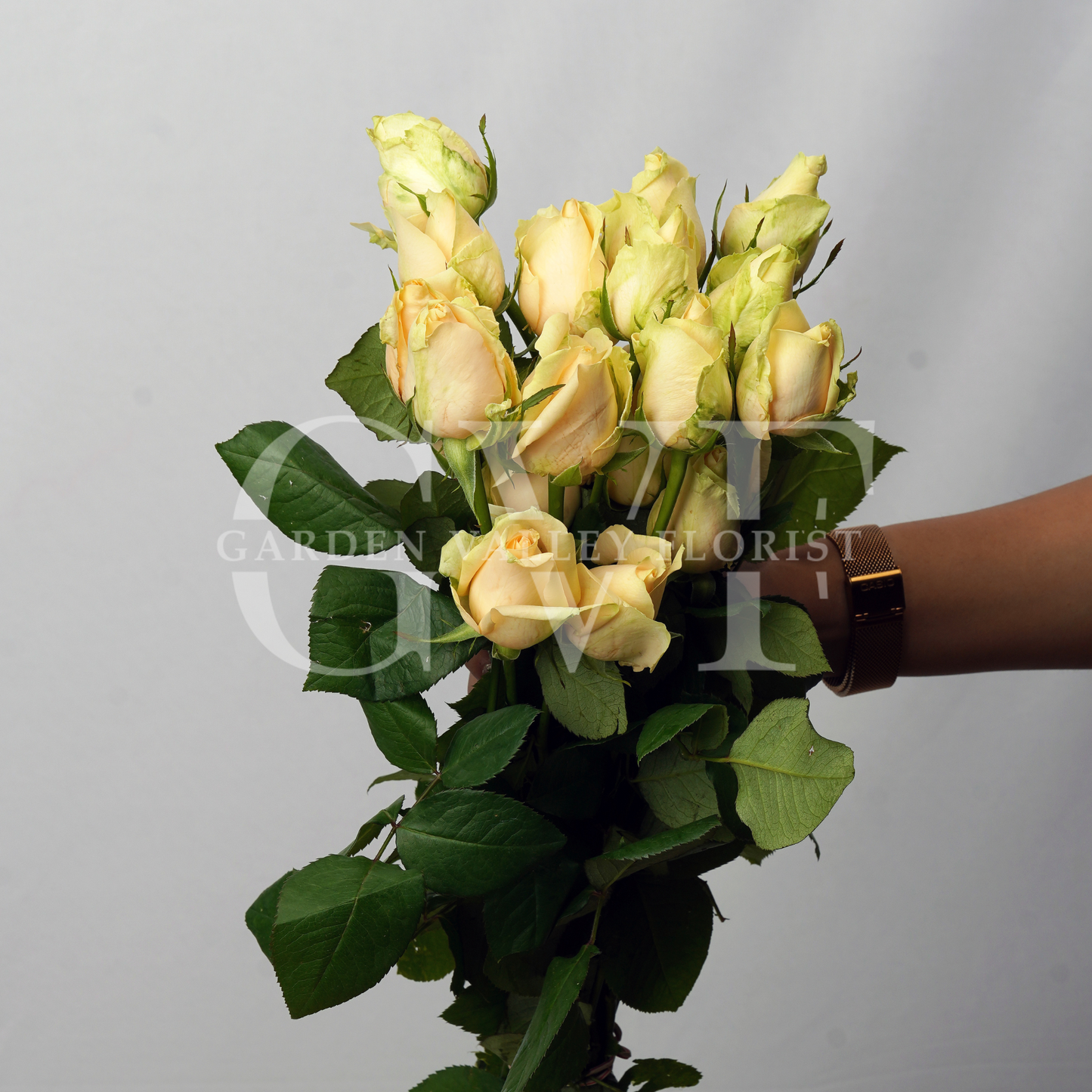 Peach Rose