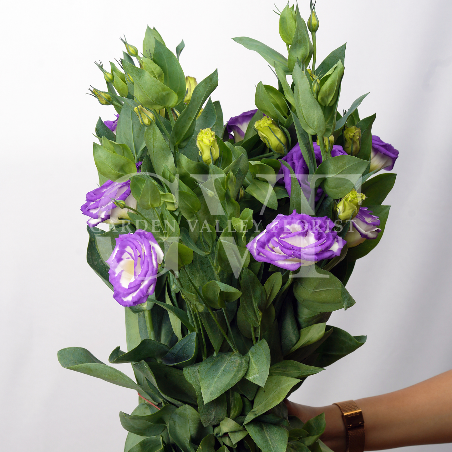 Lisianthus (Astoma): Delicate Beauty & Timeless Grace