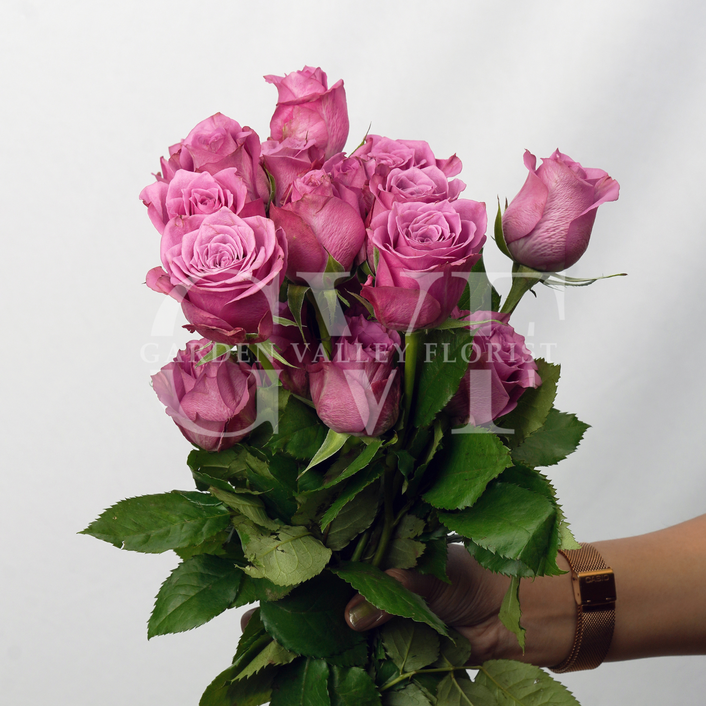 Purple Rose