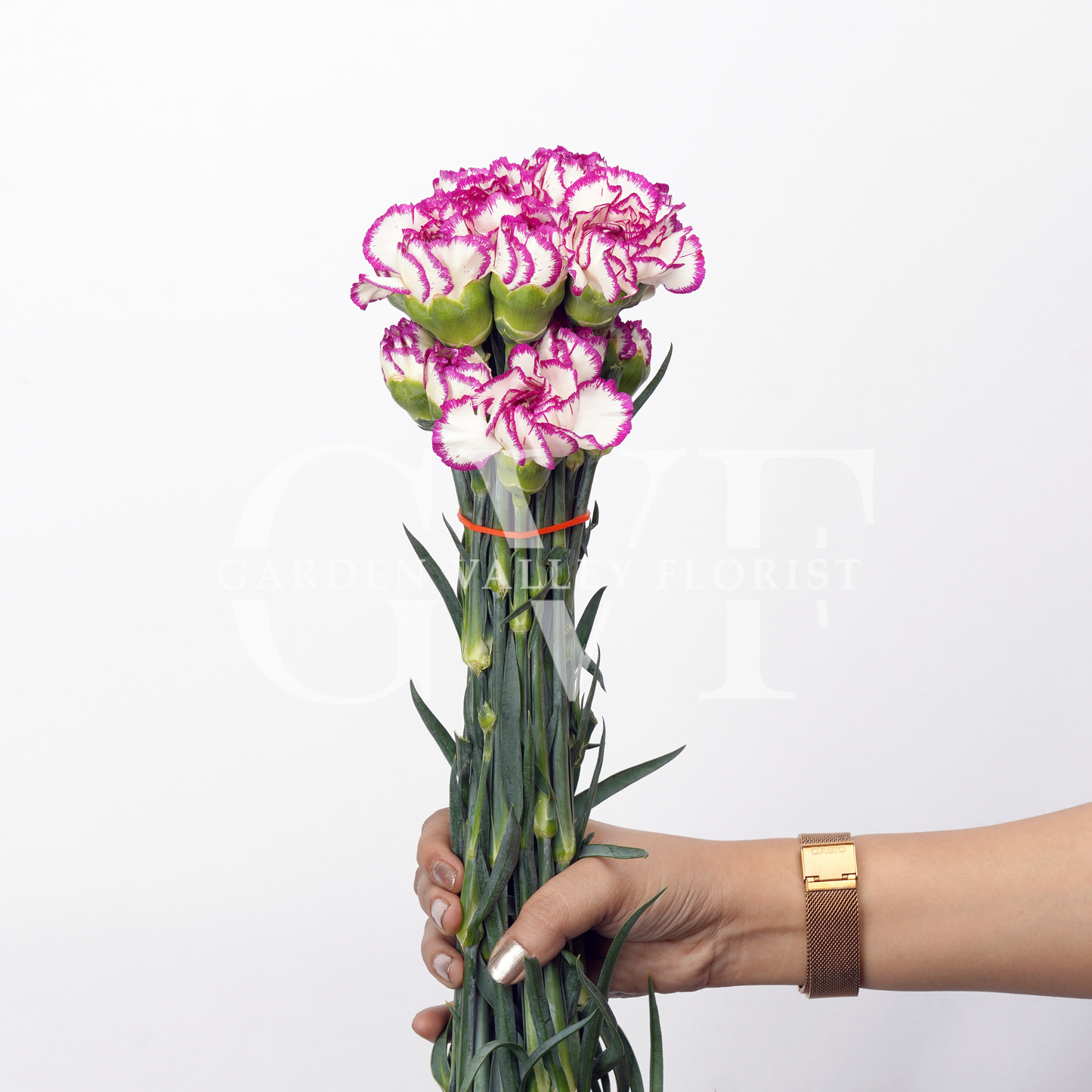 Shaded Purple Carnations