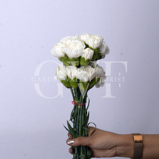 White Carnations