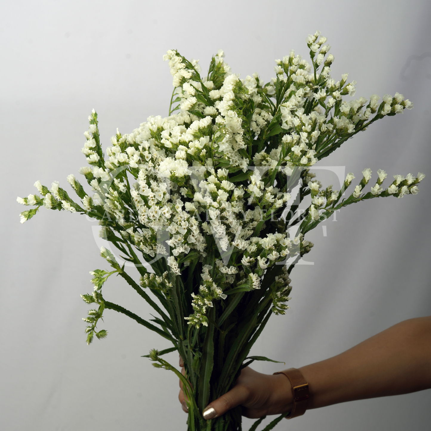 Statice Flower