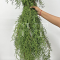 Cyprus Leaves