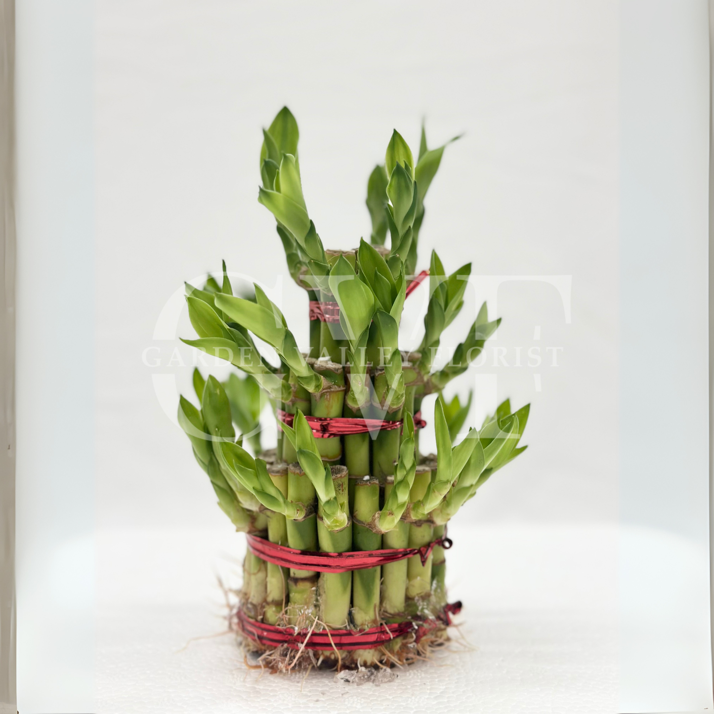 3 Layer Bamboo Plant