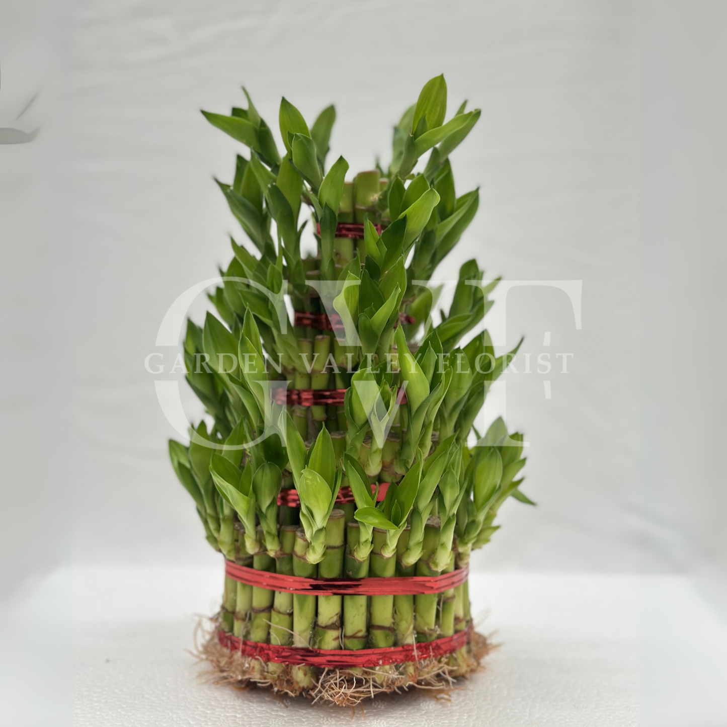5 Layer Bamboo Plant