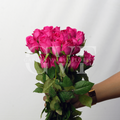 Dark Pink Bonier Roses
