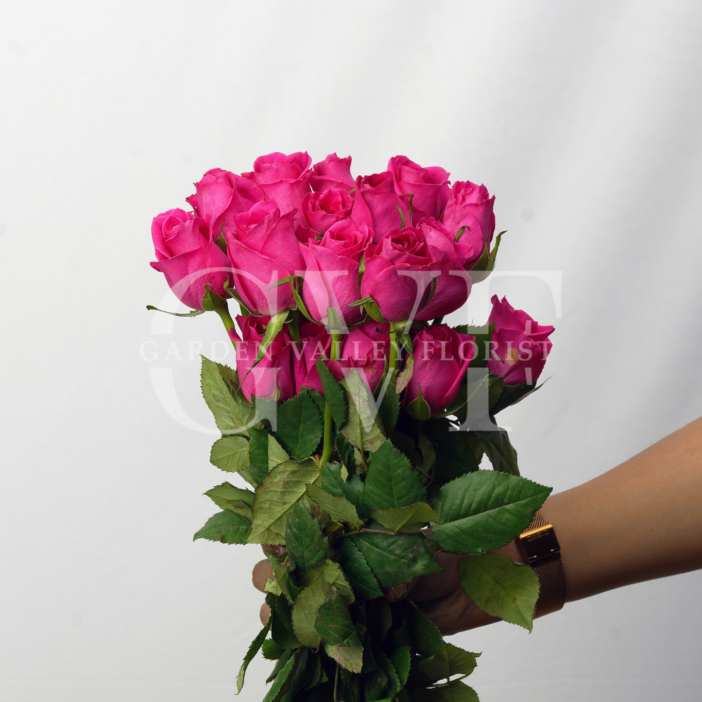 Pink Roses