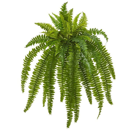 Ghoda Palm Leaves