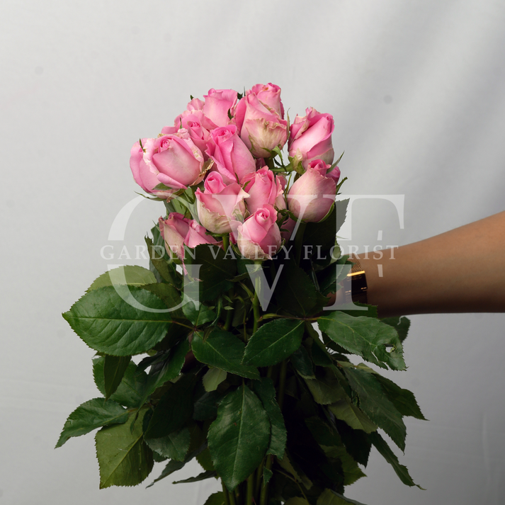 Pink Roses – Garden Valley Florist