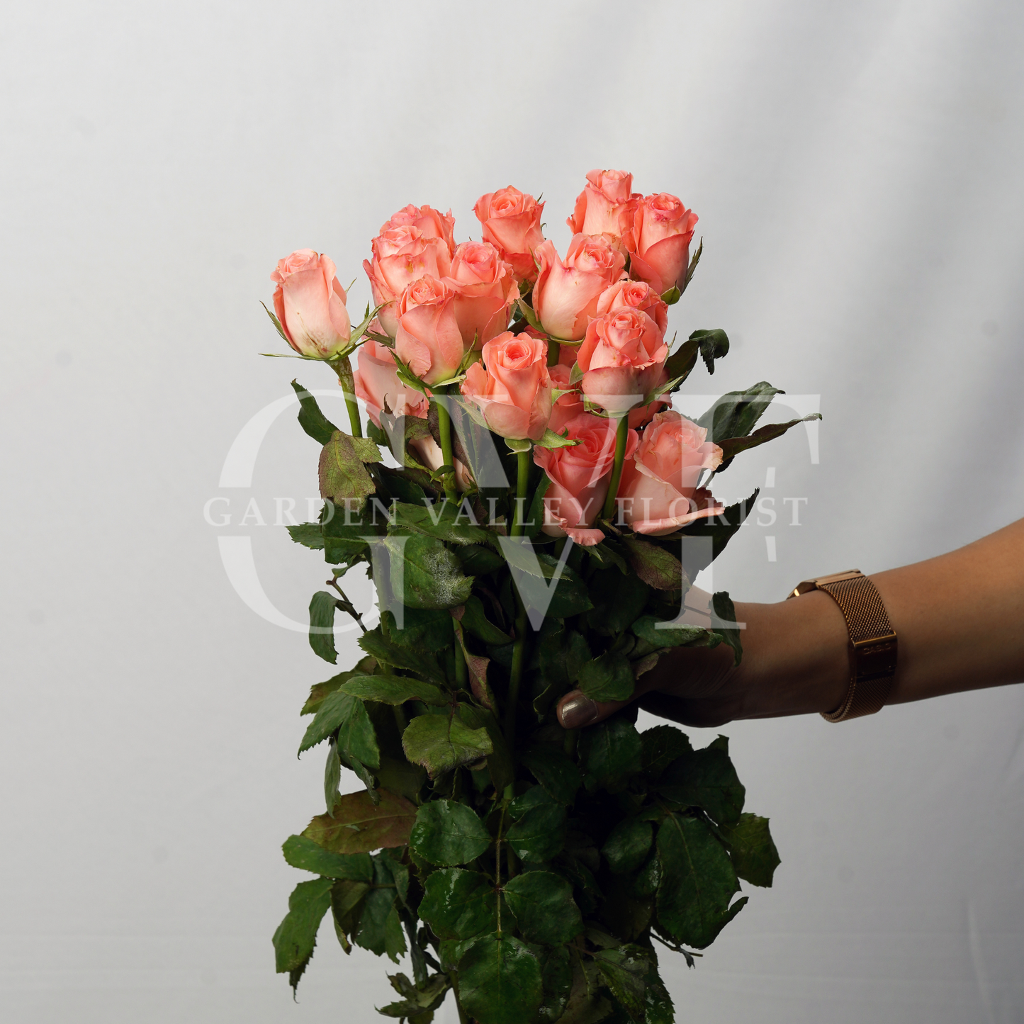 Pink Roses