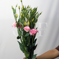 Pink Lisianthus: Grace & Heartfelt Affection