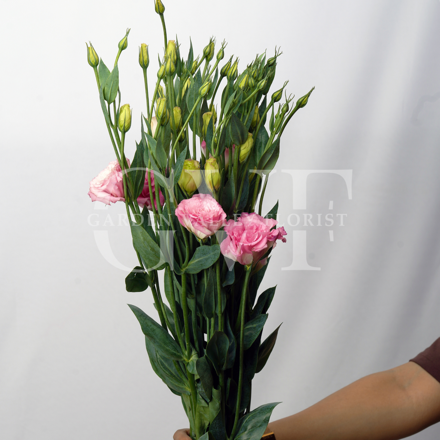 Pink Lisianthus: Grace & Heartfelt Affection