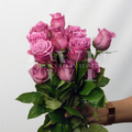 Purple Rose