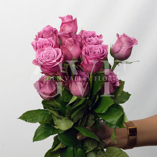 Purple Rose