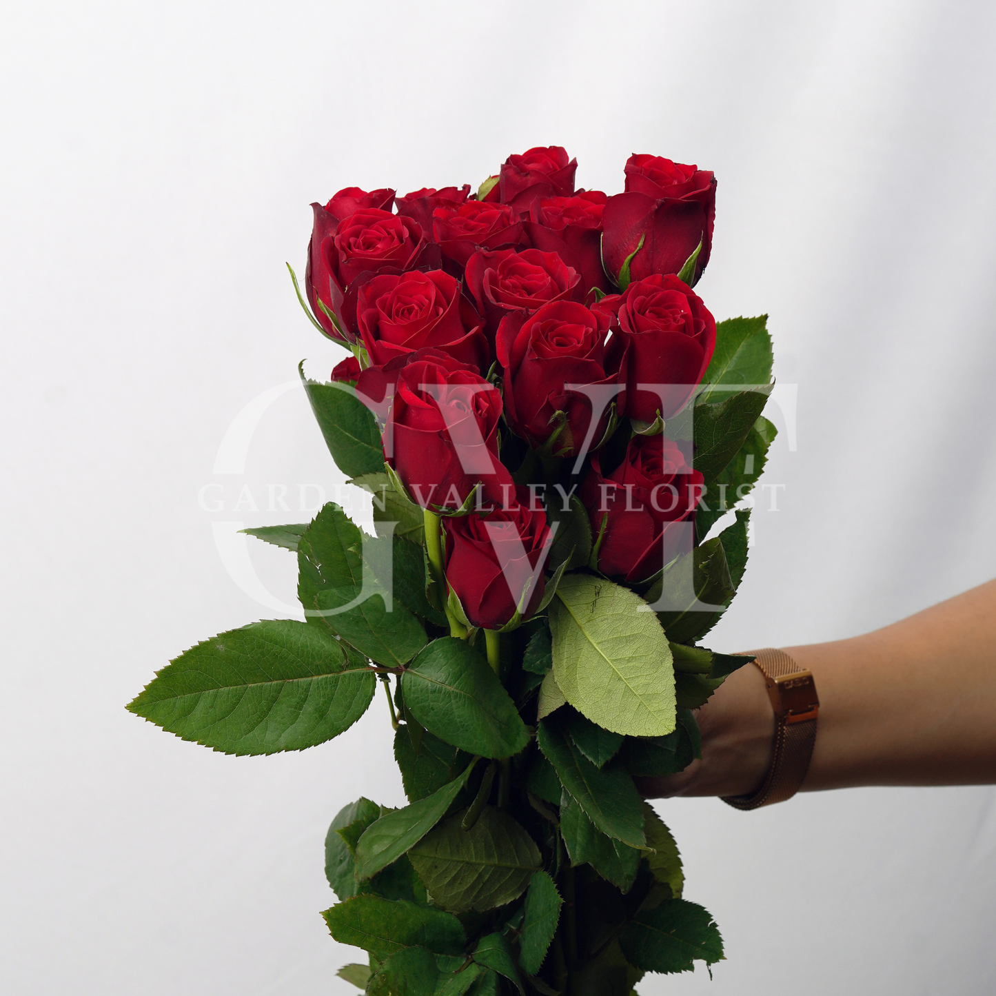 Red Rose